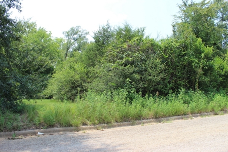 Residential and/or Commercial Lot For Sale in Gladewater, TX - image 11