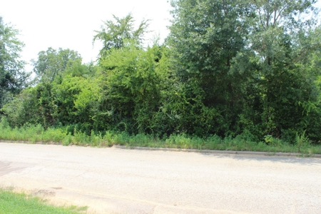 Residential and/or Commercial Lot For Sale in Gladewater, TX - image 2
