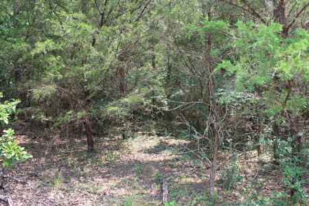 Residential and/or Commercial Lot For Sale in Gladewater, TX - image 6