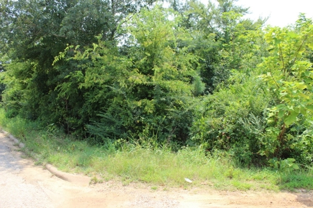 Residential and/or Commercial Lot For Sale in Gladewater, TX - image 3