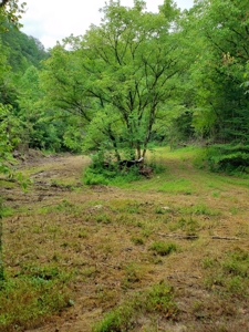 81 Acres  Unrestricted Land with spring for Sale in East TN - image 10