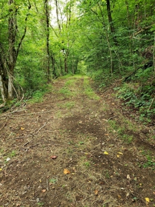 81 Acres  Unrestricted Land with spring for Sale in East TN - image 12