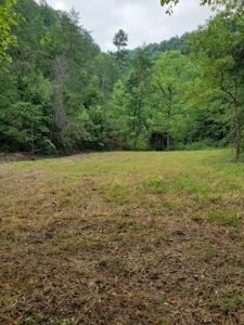 81 Acres  Unrestricted Land with spring for Sale in East TN - image 9