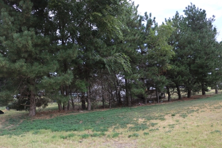 Historic Home For Sale in Protection, KS - Red Hills Area - image 22