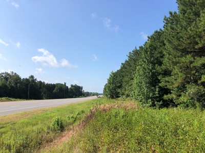 Recreational Pine Timberland /w utilities near Sheridan, AR - image 5