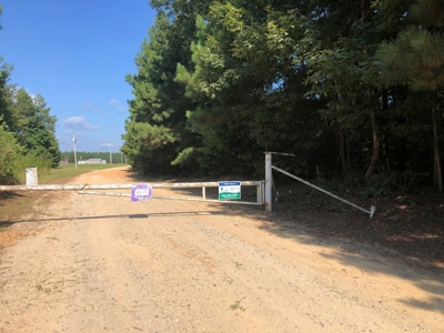 Recreational Pine Timberland /w utilities near Sheridan, AR - image 8