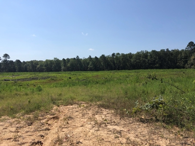 Recreational Pine Timberland /w utilities near Sheridan, AR - image 32
