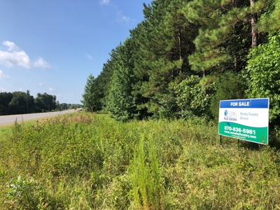 Recreational Pine Timberland /w utilities near Sheridan, AR - image 3
