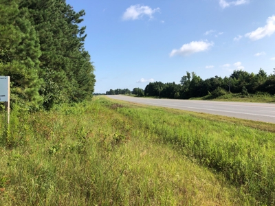 Recreational Pine Timberland /w utilities near Sheridan, AR - image 6