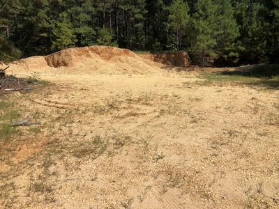 Recreational Pine Timberland /w utilities near Sheridan, AR - image 35