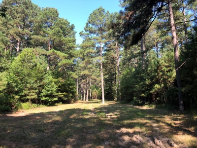 Recreational Pine Timberland /w utilities near Sheridan, AR - image 19
