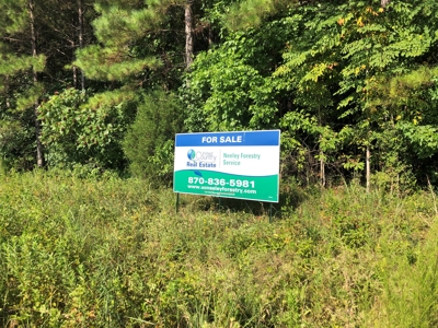 Recreational Pine Timberland /w utilities near Sheridan, AR - image 4