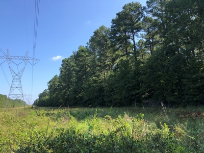 Recreational Pine Timberland /w utilities near Sheridan, AR - image 24