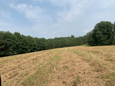 Large Farm For Sale In Tennessee With Lake,Creeks & Ponds - image 30