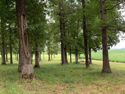 Large Farm For Sale In Tennessee With Lake,Creeks & Ponds - image 15