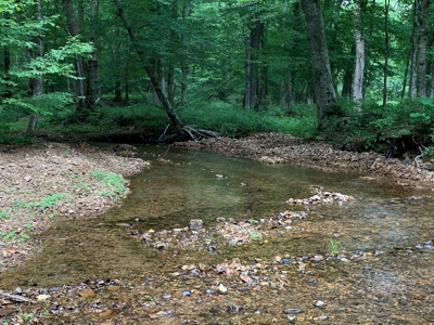 Large Farm For Sale In Tennessee With Lake,Creeks & Ponds - image 27
