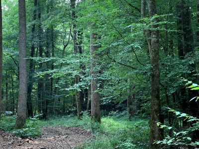Large Farm For Sale In Tennessee With Lake,Creeks & Ponds - image 29