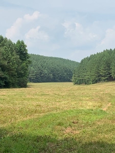 Large Farm For Sale In Tennessee With Lake,Creeks & Ponds - image 40