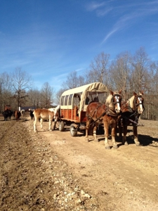 Large Farm For Sale In Tennessee With Lake,Creeks & Ponds - image 10
