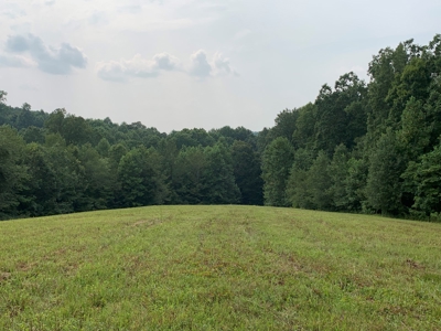 Large Farm For Sale In Tennessee With Lake,Creeks & Ponds - image 50