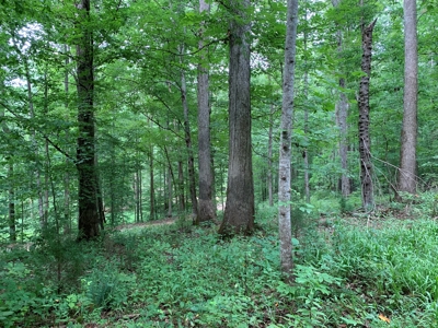 Large Farm For Sale In Tennessee With Lake,Creeks & Ponds - image 32