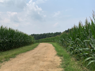 Large Farm For Sale In Tennessee With Lake,Creeks & Ponds - image 17