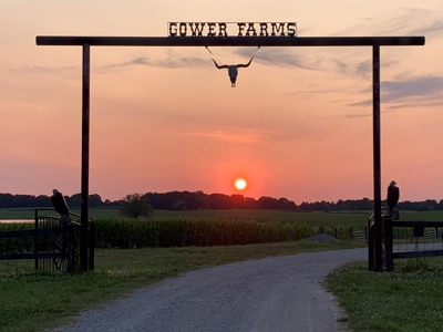 Large Farm For Sale In Tennessee With Lake,Creeks & Ponds - image 1
