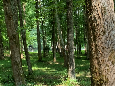 Large Farm For Sale In Tennessee With Lake,Creeks & Ponds - image 46