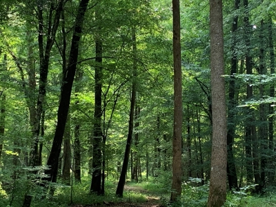 Large Farm For Sale In Tennessee With Lake,Creeks & Ponds - image 28