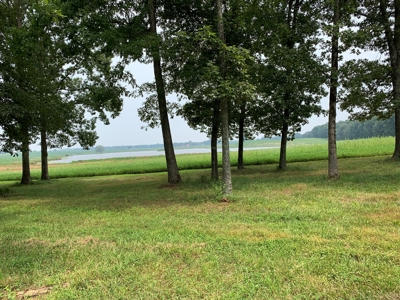 Large Farm For Sale In Tennessee With Lake,Creeks & Ponds - image 14