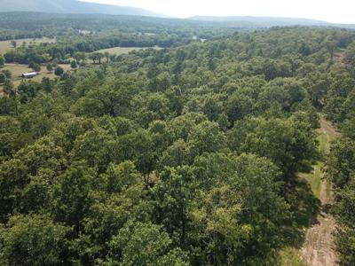 Ouachita National Forest Cabin Site In Southeast Oklahoma - image 7