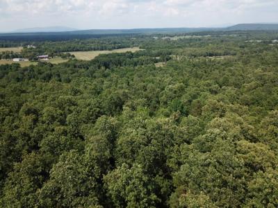 Ouachita National Forest Cabin Site In Southeast Oklahoma - image 9