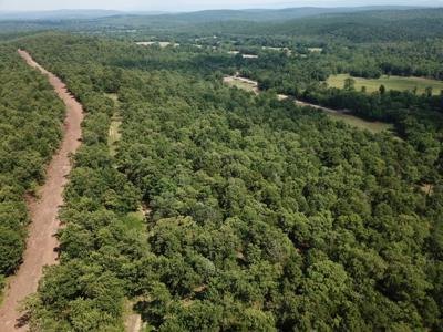 Ouachita National Forest Cabin Site In Southeast Oklahoma - image 4