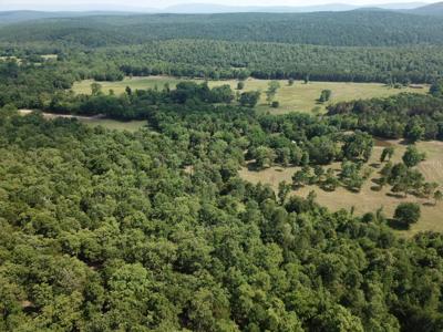 Ouachita National Forest Cabin Site In Southeast Oklahoma - image 5