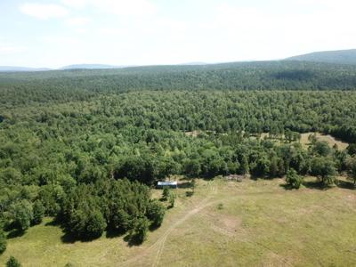 Ouachita National Forest Cabin Site In Southeast Oklahoma - image 15