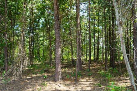 Ouachita National Forest Cabin Site In Southeast Oklahoma - image 11