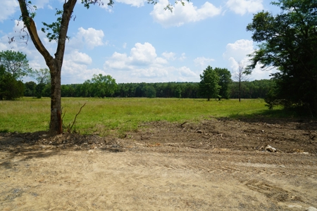 Private Cabin Site Southeast Oklahoma Near Hochatown - image 1