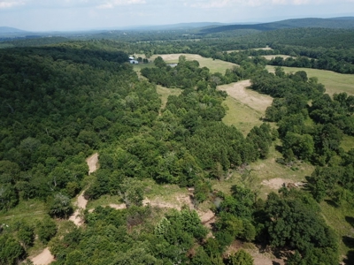 Private Cabin Site Southeast Oklahoma Near Hochatown - image 16