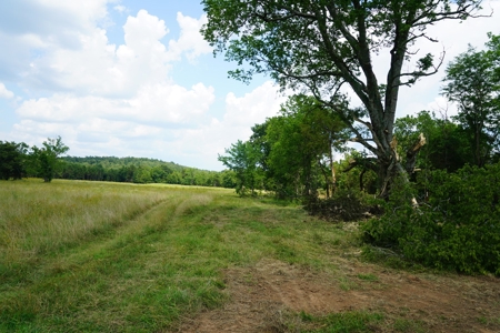 Private Cabin Site Southeast Oklahoma Near Hochatown - image 9
