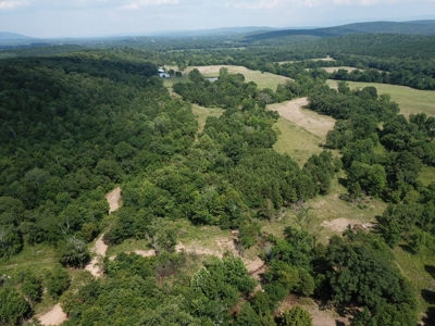 Private Cabin Site Southeast Oklahoma Near Hochatown - image 15