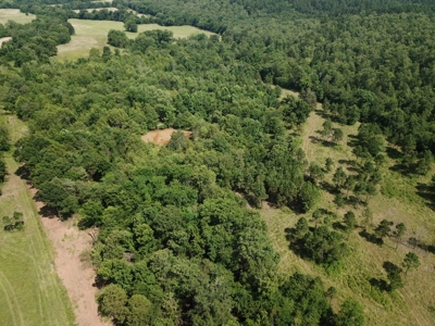 Private Cabin Site Southeast Oklahoma Near Hochatown - image 17