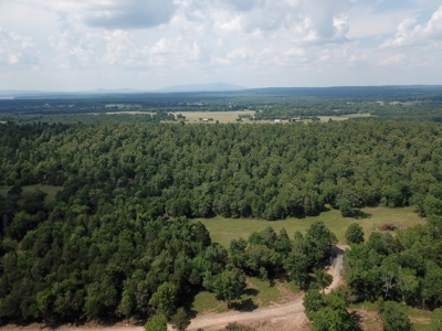 Private Cabin Site Southeast Oklahoma Near Hochatown - image 19