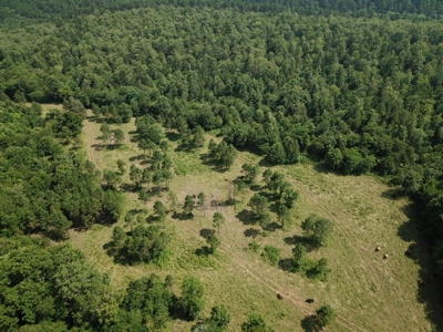 Private Cabin Site Southeast Oklahoma Near Hochatown - image 18
