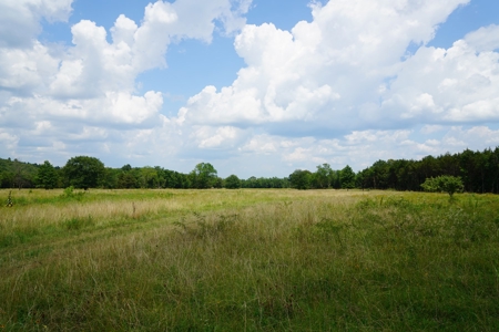 Private Cabin Site Southeast Oklahoma Near Hochatown - image 8