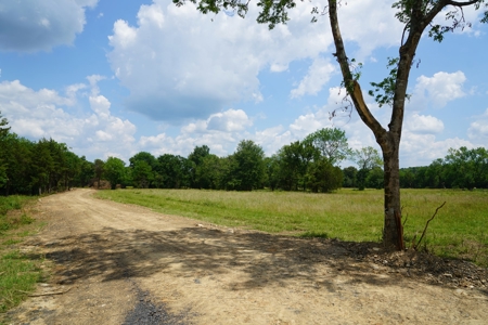 Private Cabin Site Southeast Oklahoma Near Hochatown - image 5