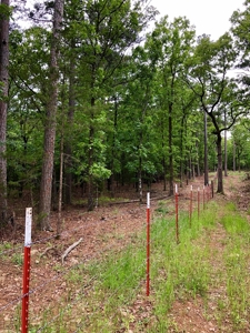 Cabin Site And Homestead In Southeast Oklahoma - image 16