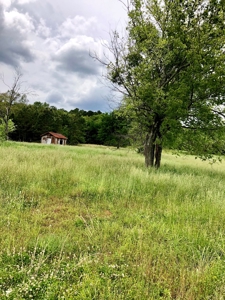 Cabin Site And Homestead In Southeast Oklahoma - image 13