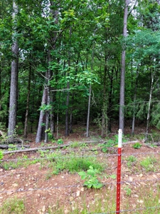 Cabin Site And Homestead In Southeast Oklahoma - image 17