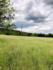 Cabin Site And Homestead In Southeast Oklahoma - image 12