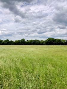 Cabin Site And Homestead In Southeast Oklahoma - image 11